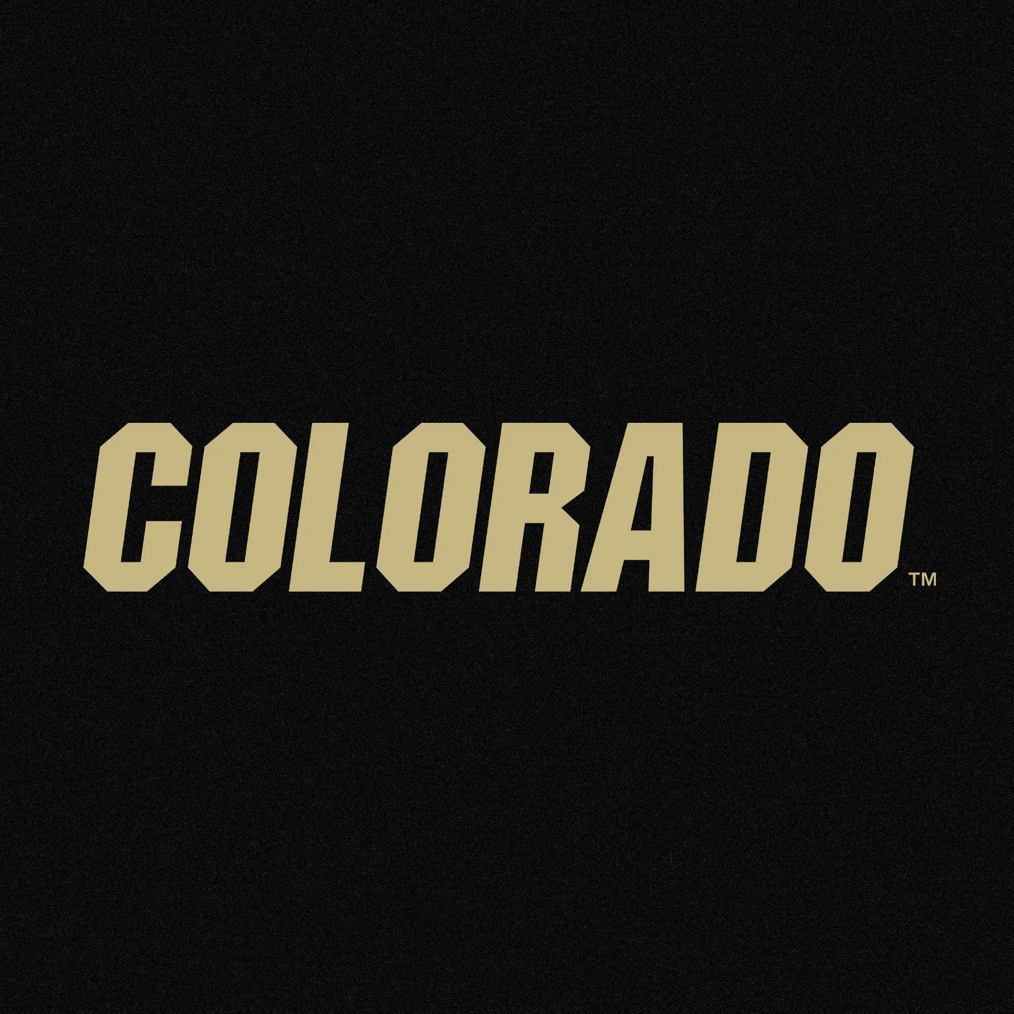 Colorado Basic Block Sponge Fleece Hoodie - Charcoal Black Heather