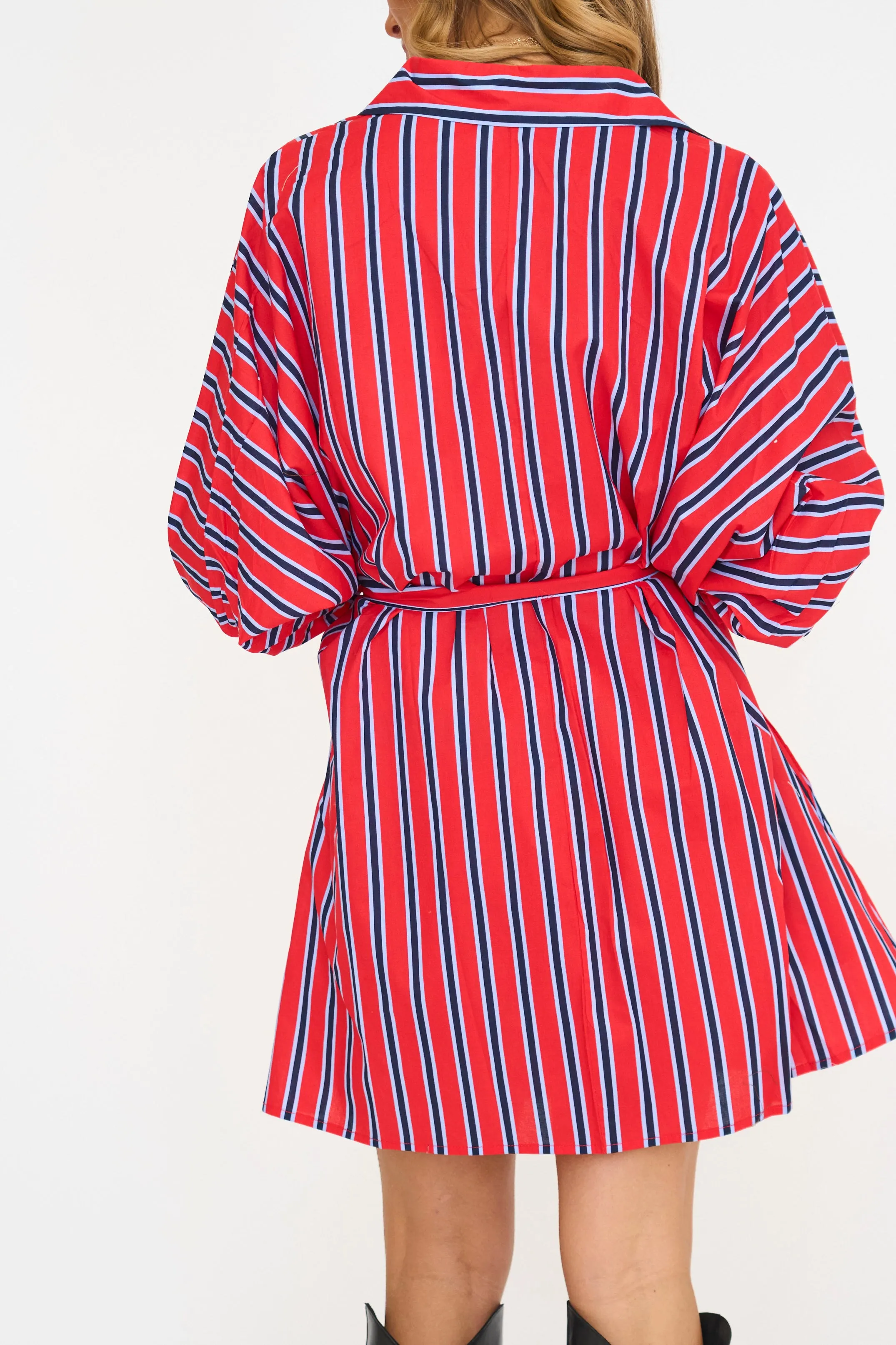Dani Stripe Belted Mini Dress