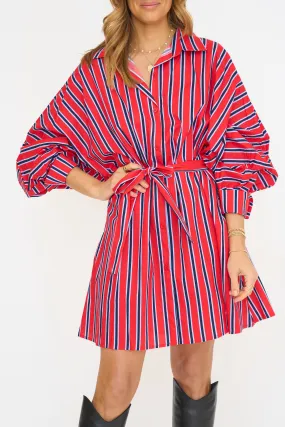 Dani Stripe Belted Mini Dress