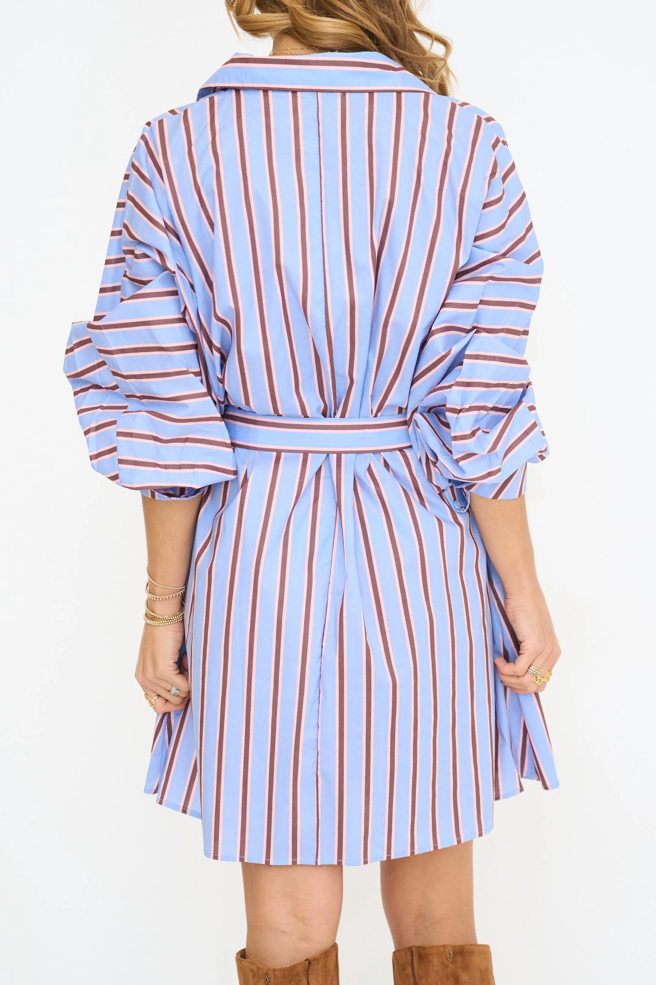Dani Stripe Belted Mini Dress