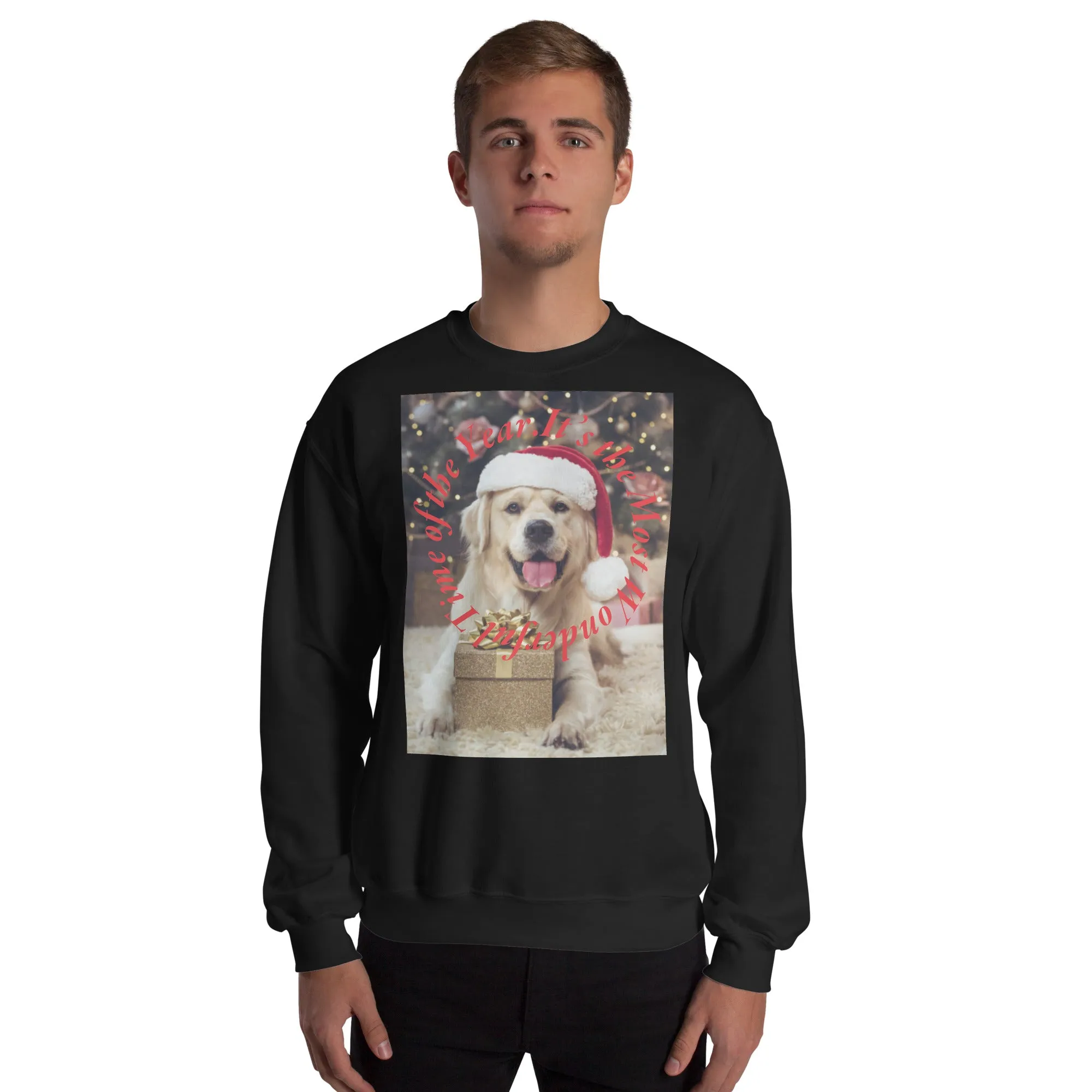 It's The Most Wonderful Time of The Year Christmas Sweatshirt (Glamourange Christmas Sweatshirt Men)