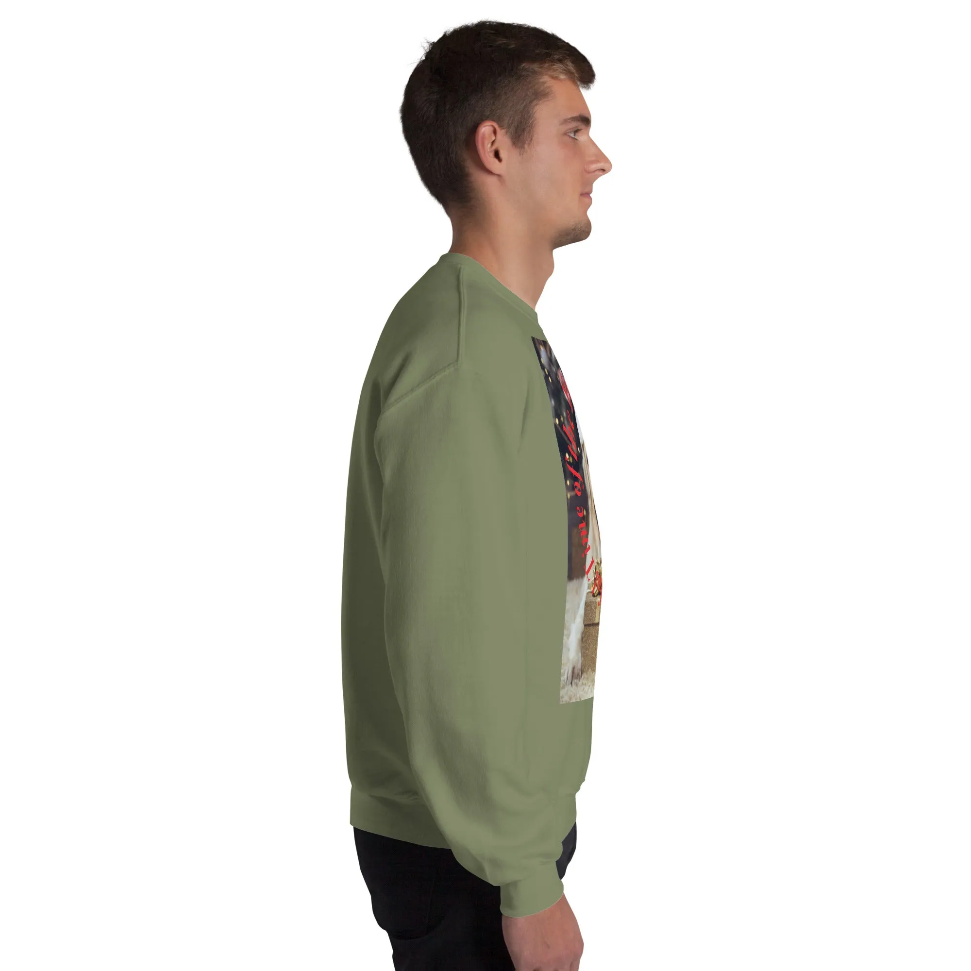 It's The Most Wonderful Time of The Year Christmas Sweatshirt (Glamourange Christmas Sweatshirt Men)