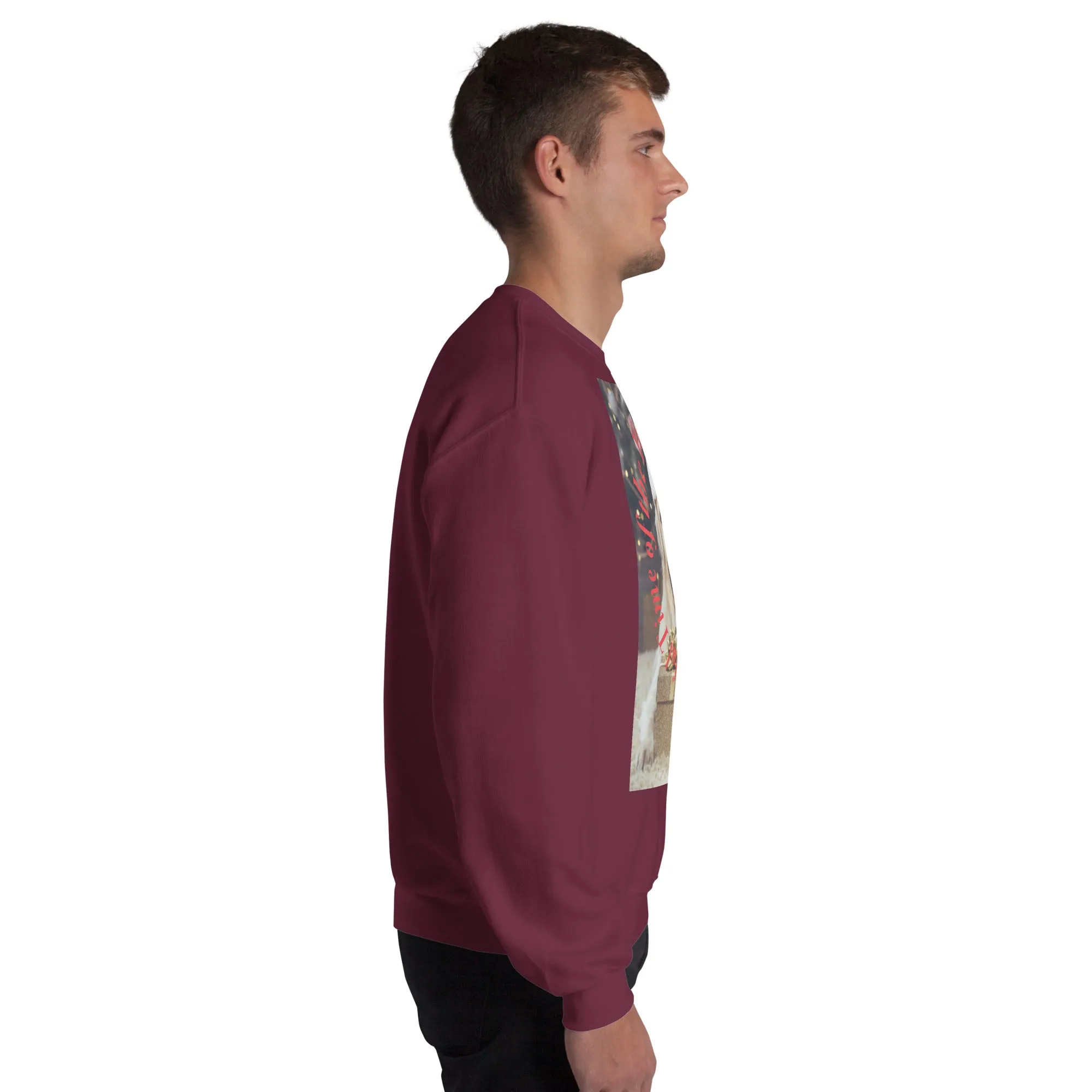 It's The Most Wonderful Time of The Year Christmas Sweatshirt (Glamourange Christmas Sweatshirt Men)