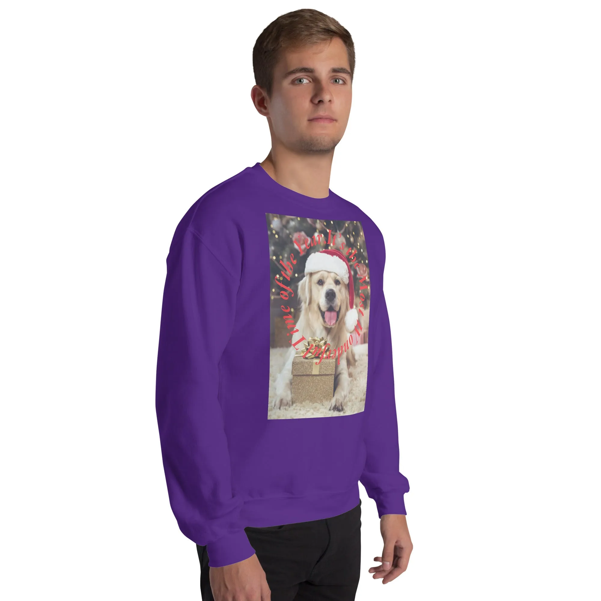 It's The Most Wonderful Time of The Year Christmas Sweatshirt (Glamourange Christmas Sweatshirt Men)