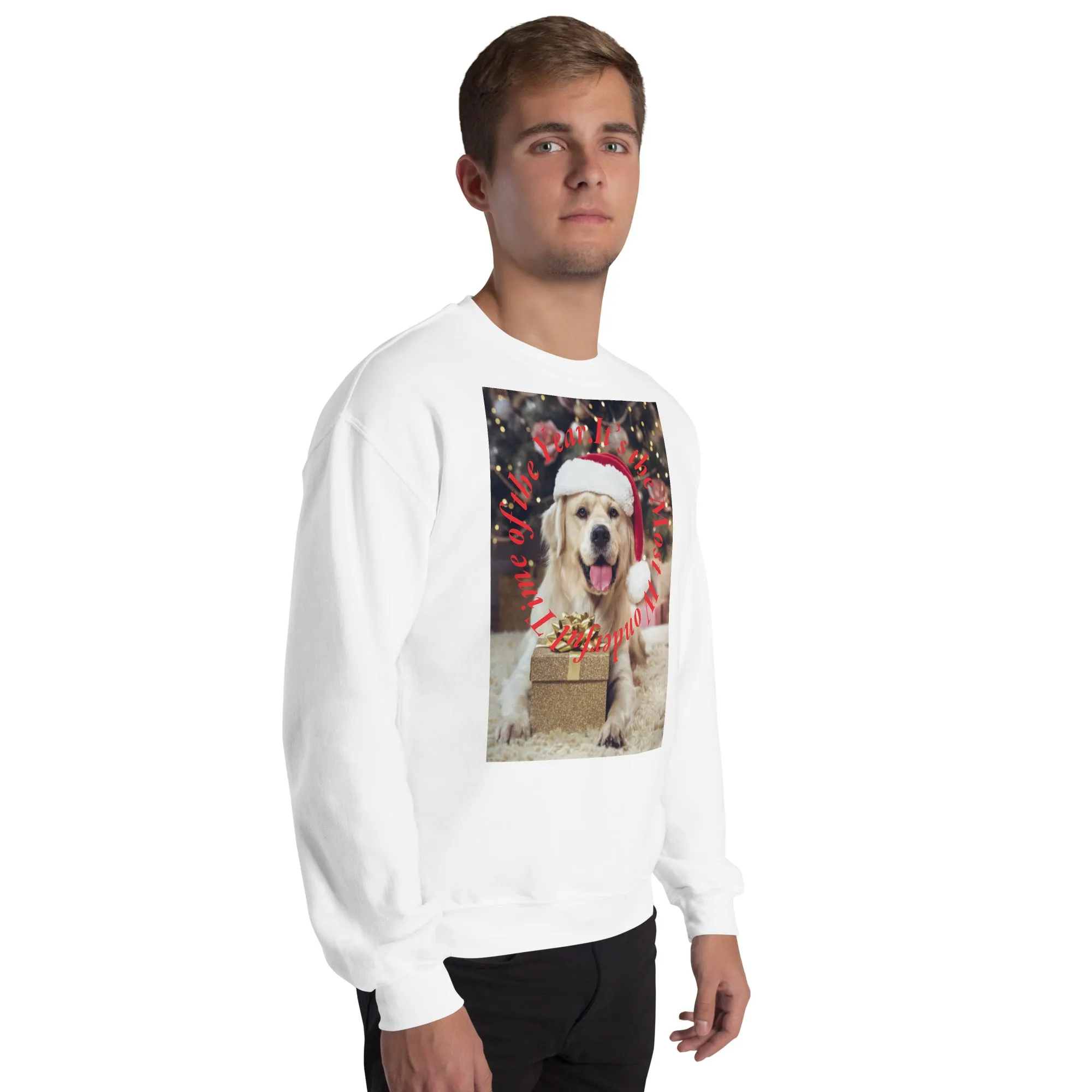 It's The Most Wonderful Time of The Year Christmas Sweatshirt (Glamourange Christmas Sweatshirt Men)