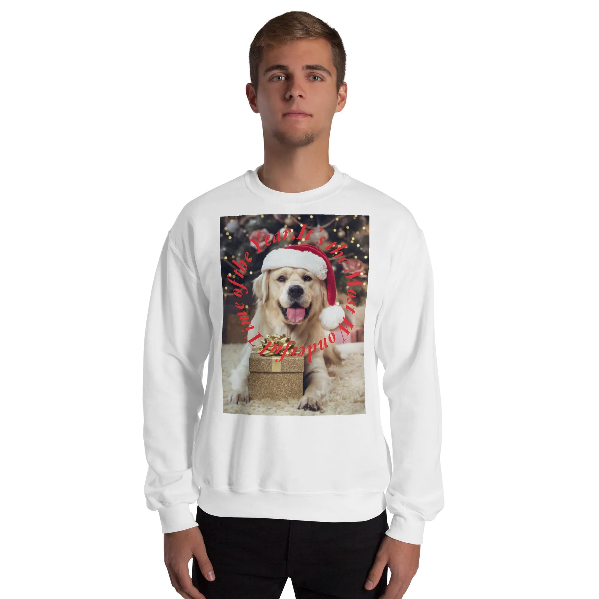 It's The Most Wonderful Time of The Year Christmas Sweatshirt (Glamourange Christmas Sweatshirt Men)
