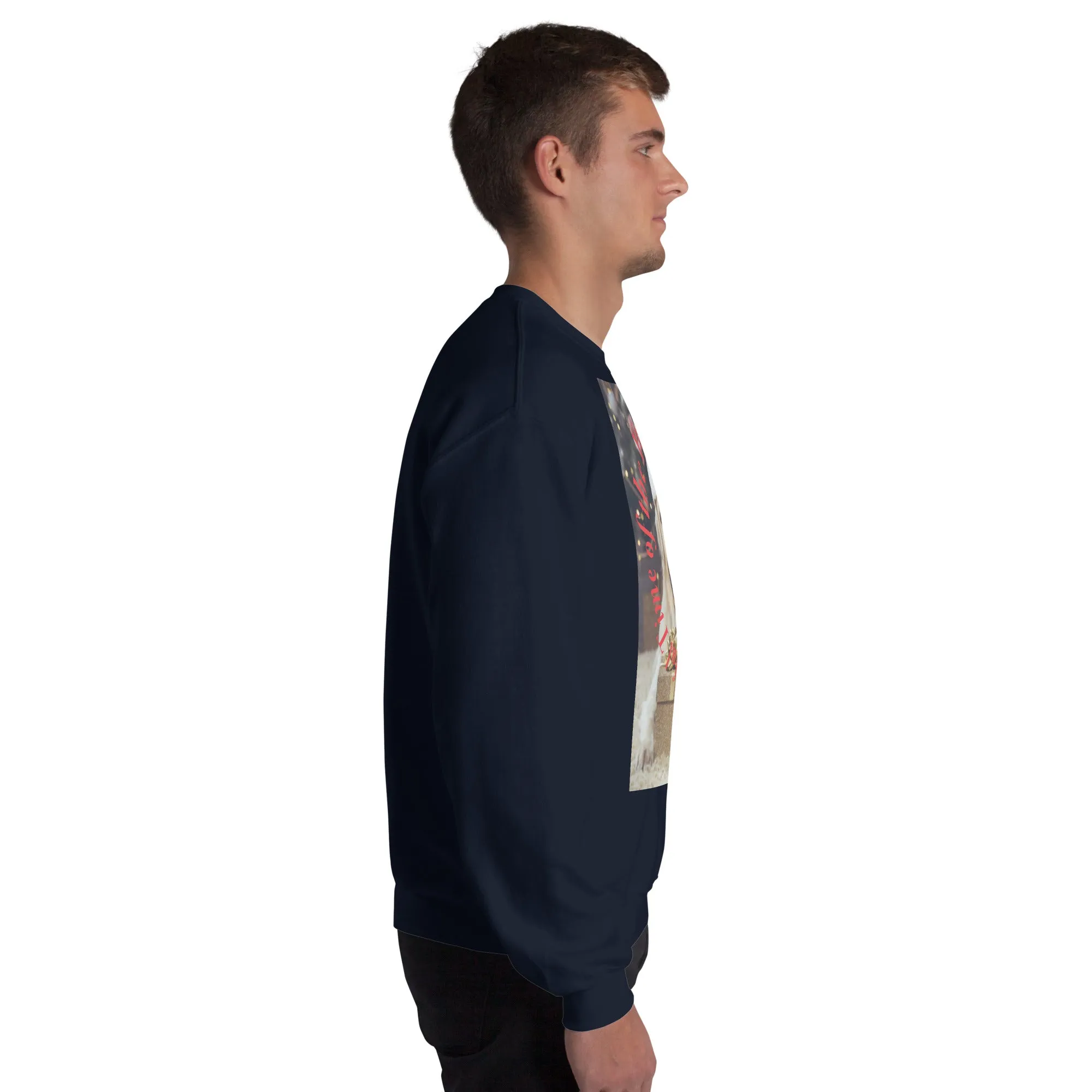 It's The Most Wonderful Time of The Year Christmas Sweatshirt (Glamourange Christmas Sweatshirt Men)