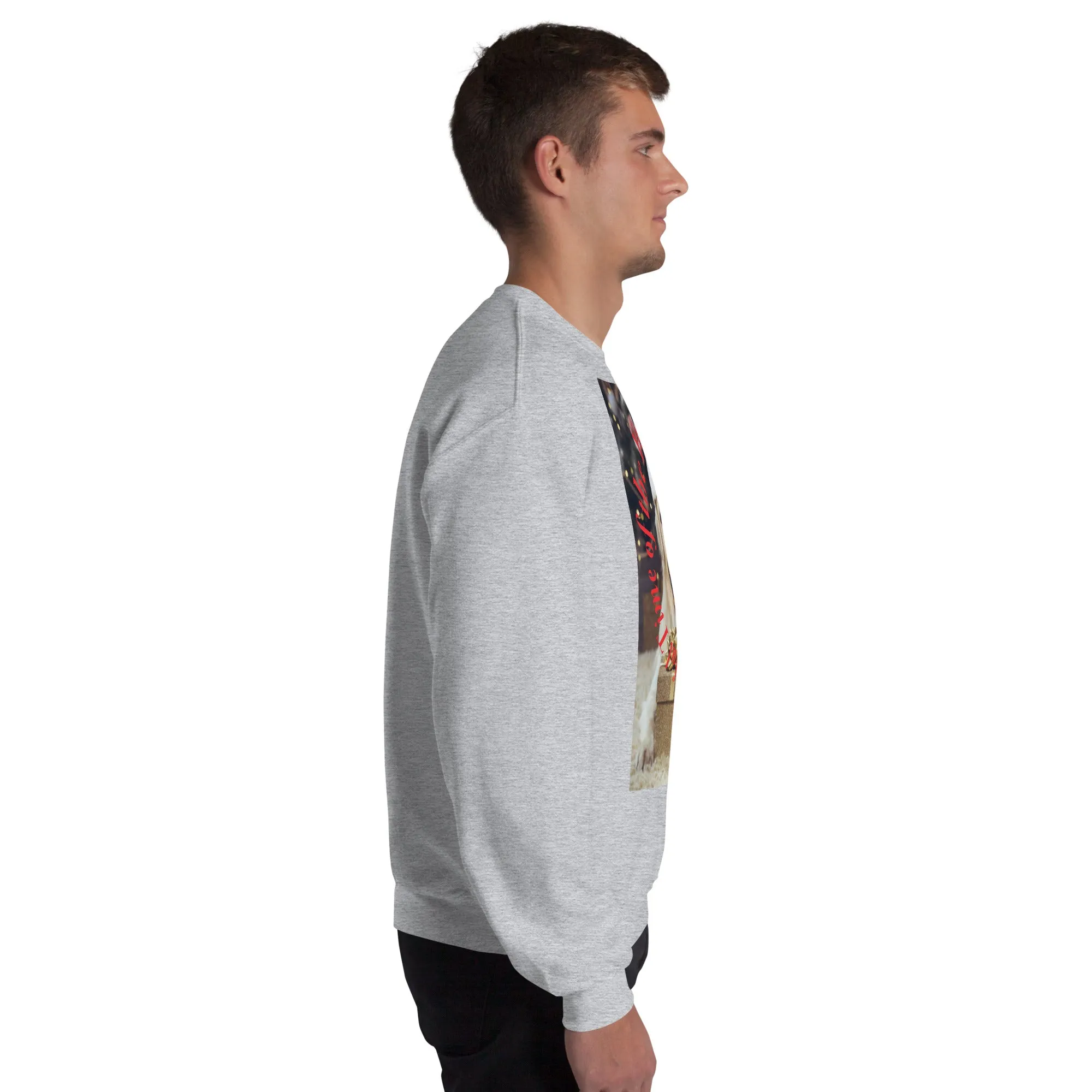 It's The Most Wonderful Time of The Year Christmas Sweatshirt (Glamourange Christmas Sweatshirt Men)
