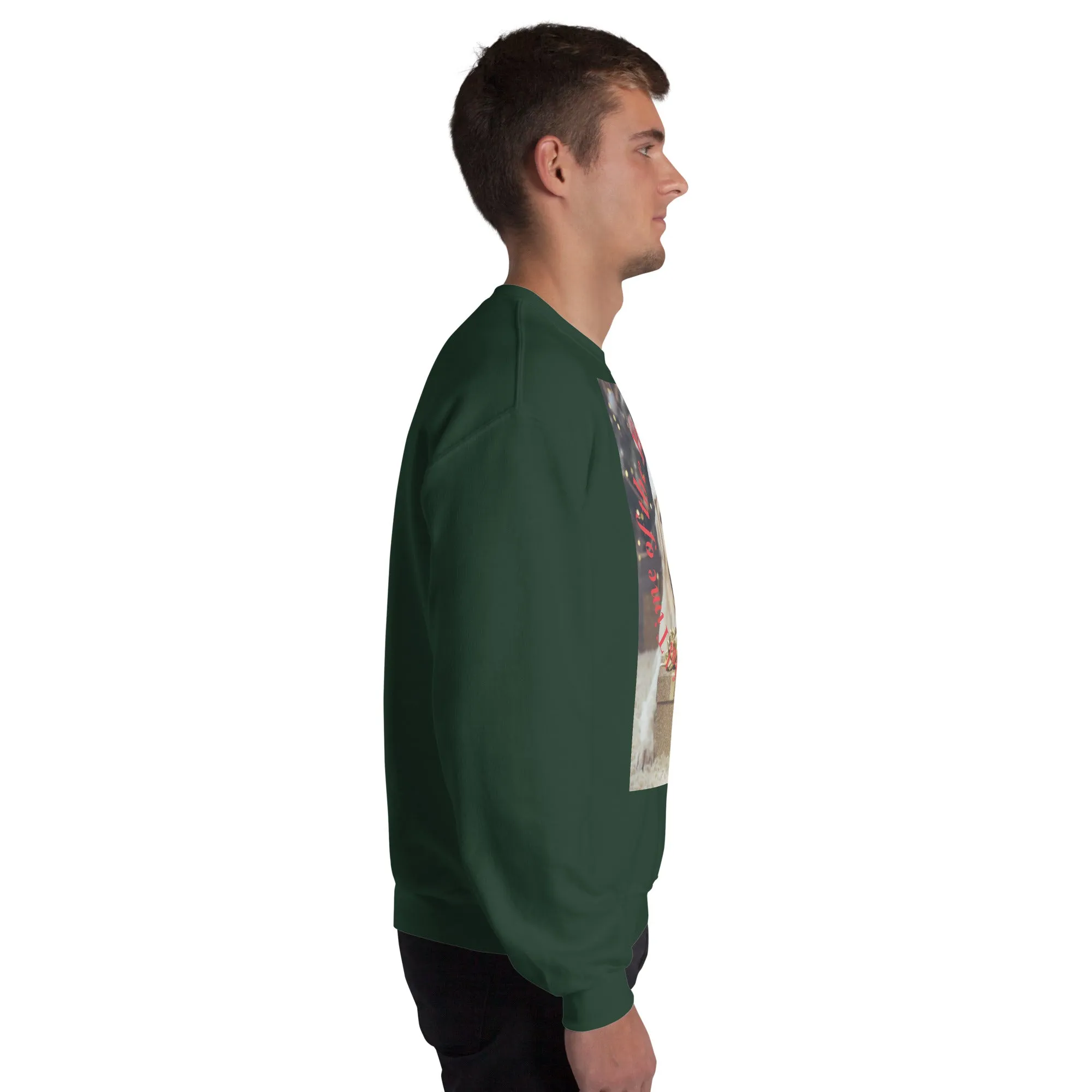 It's The Most Wonderful Time of The Year Christmas Sweatshirt (Glamourange Christmas Sweatshirt Men)