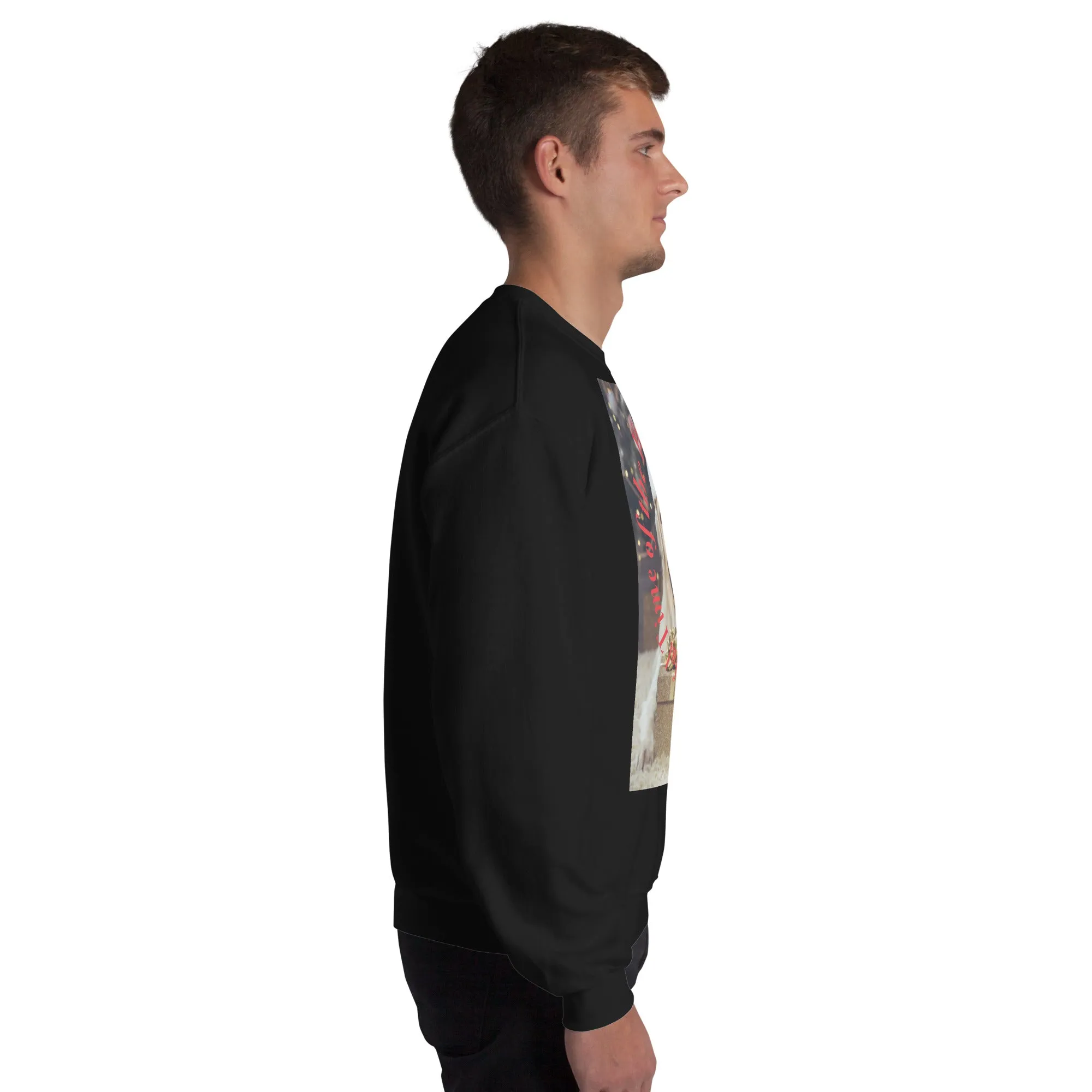 It's The Most Wonderful Time of The Year Christmas Sweatshirt (Glamourange Christmas Sweatshirt Men)