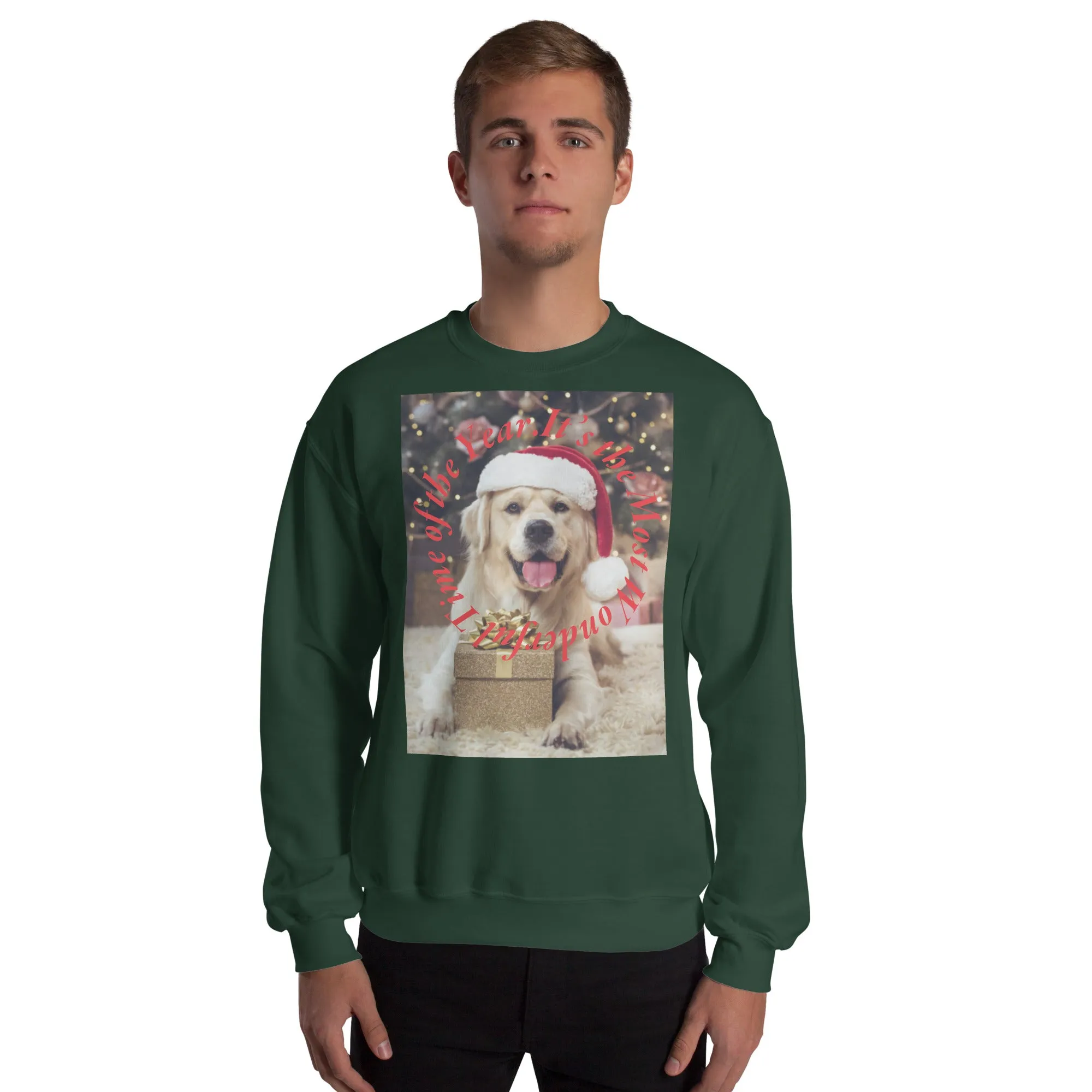 It's The Most Wonderful Time of The Year Christmas Sweatshirt (Glamourange Christmas Sweatshirt Men)