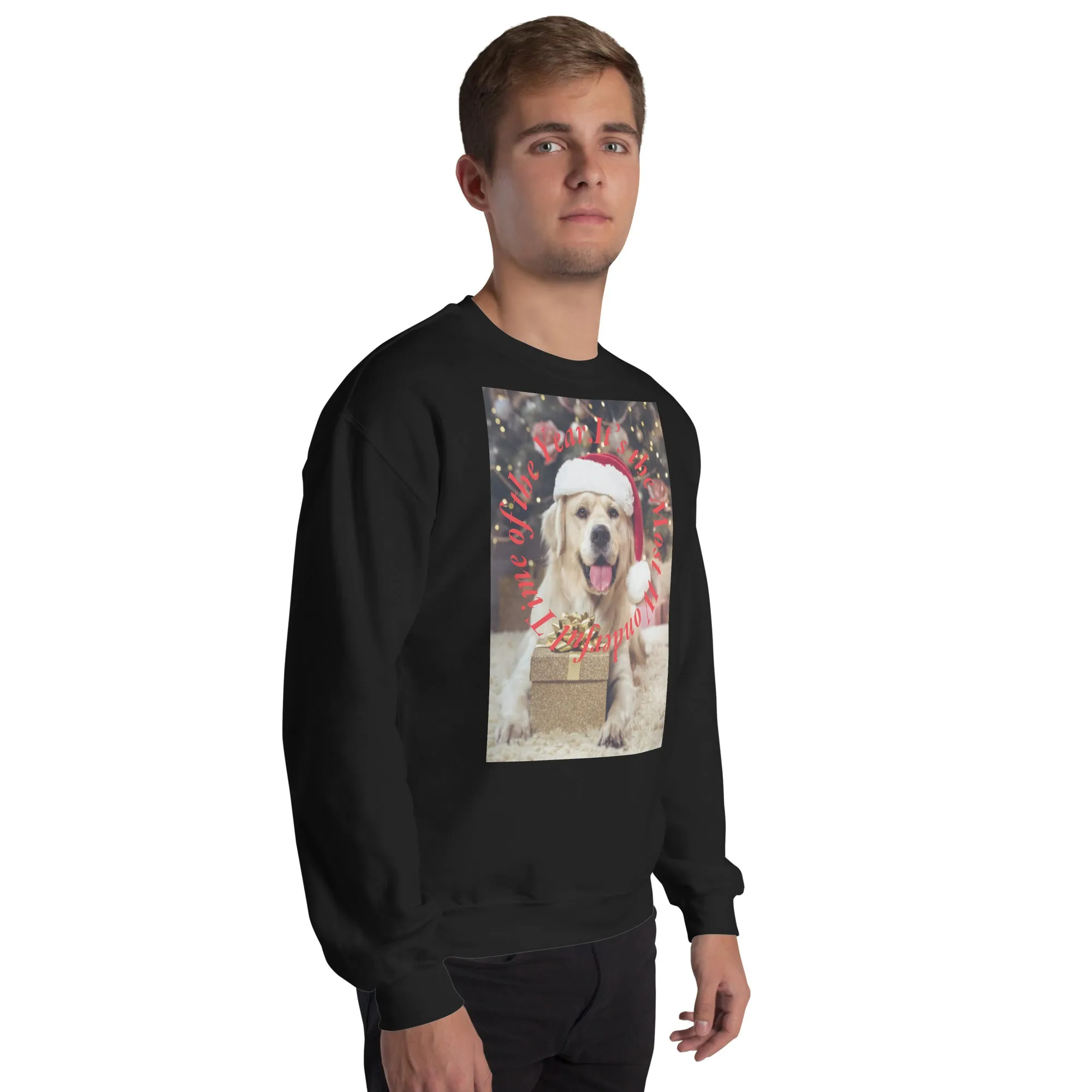 It's The Most Wonderful Time of The Year Christmas Sweatshirt (Glamourange Christmas Sweatshirt Men)