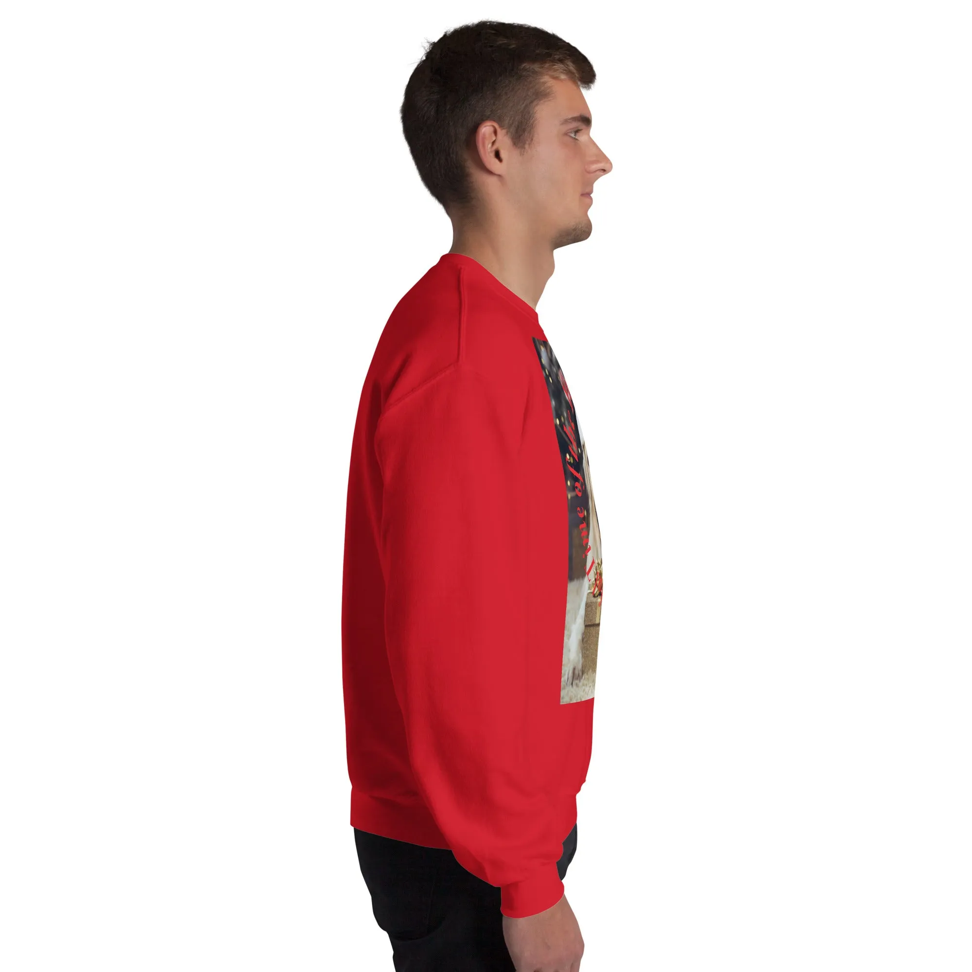 It's The Most Wonderful Time of The Year Christmas Sweatshirt (Glamourange Christmas Sweatshirt Men)