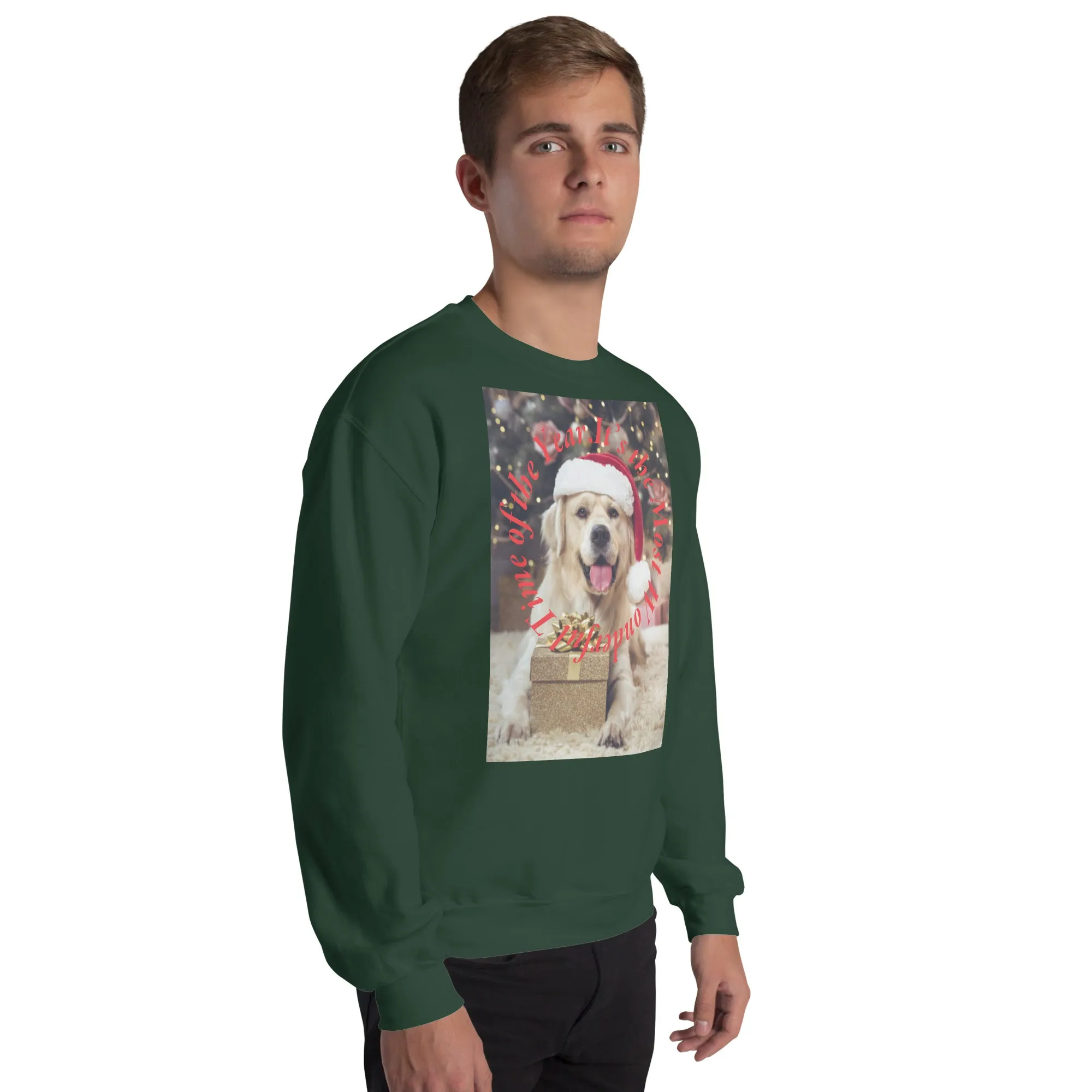 It's The Most Wonderful Time of The Year Christmas Sweatshirt (Glamourange Christmas Sweatshirt Men)
