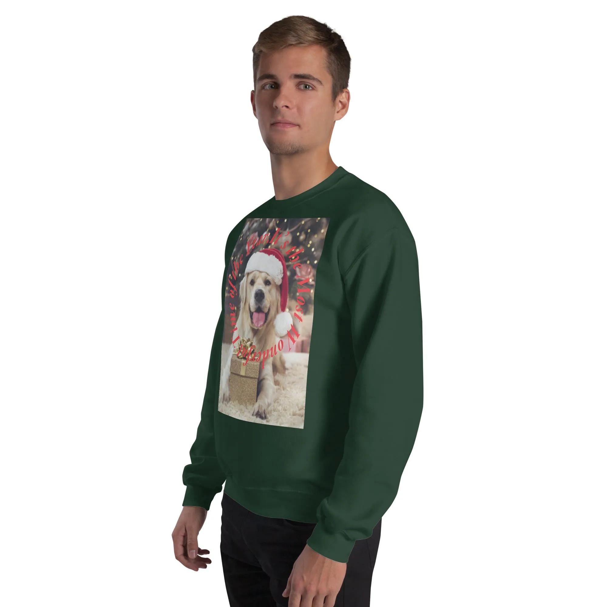 It's The Most Wonderful Time of The Year Christmas Sweatshirt (Glamourange Christmas Sweatshirt Men)