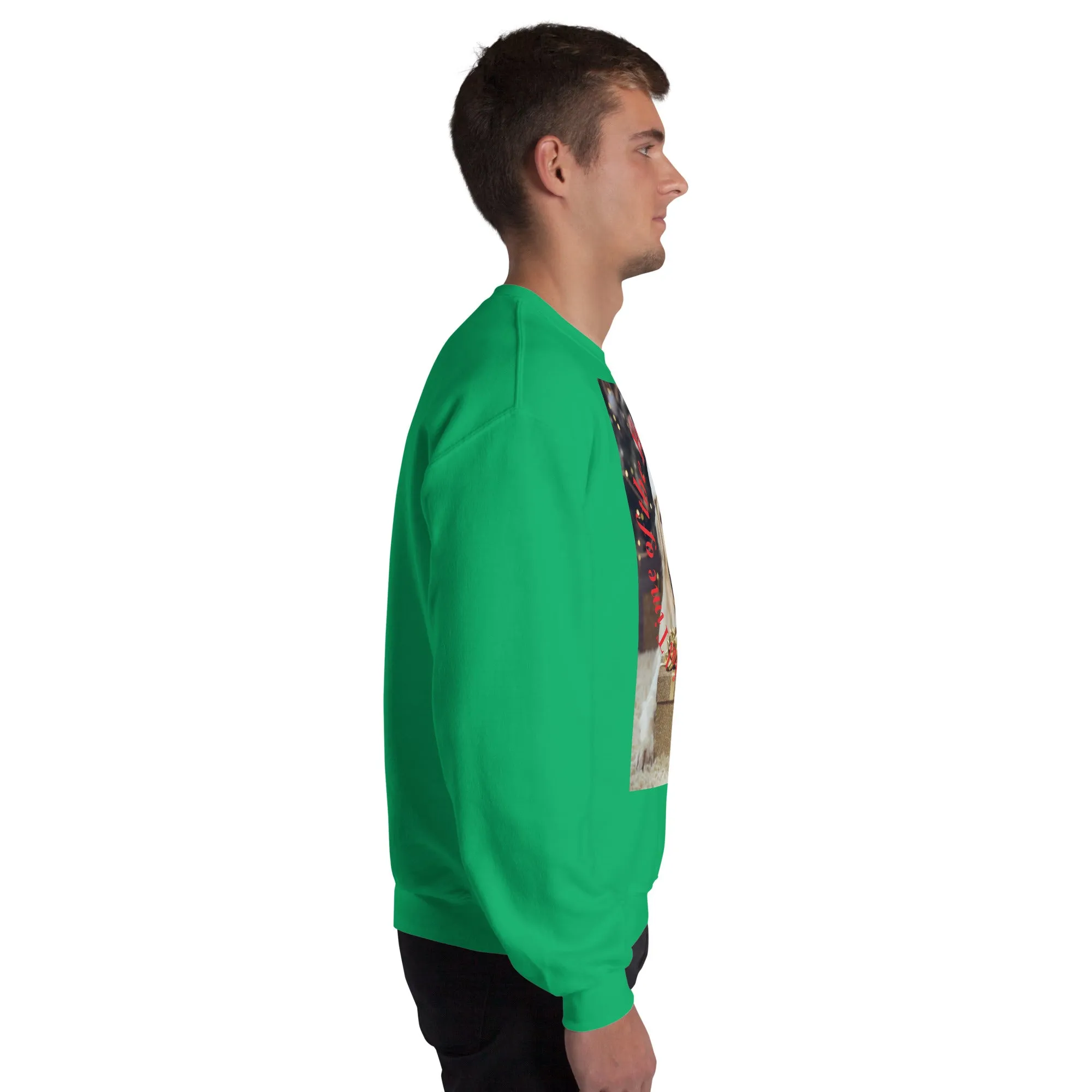 It's The Most Wonderful Time of The Year Christmas Sweatshirt (Glamourange Christmas Sweatshirt Men)
