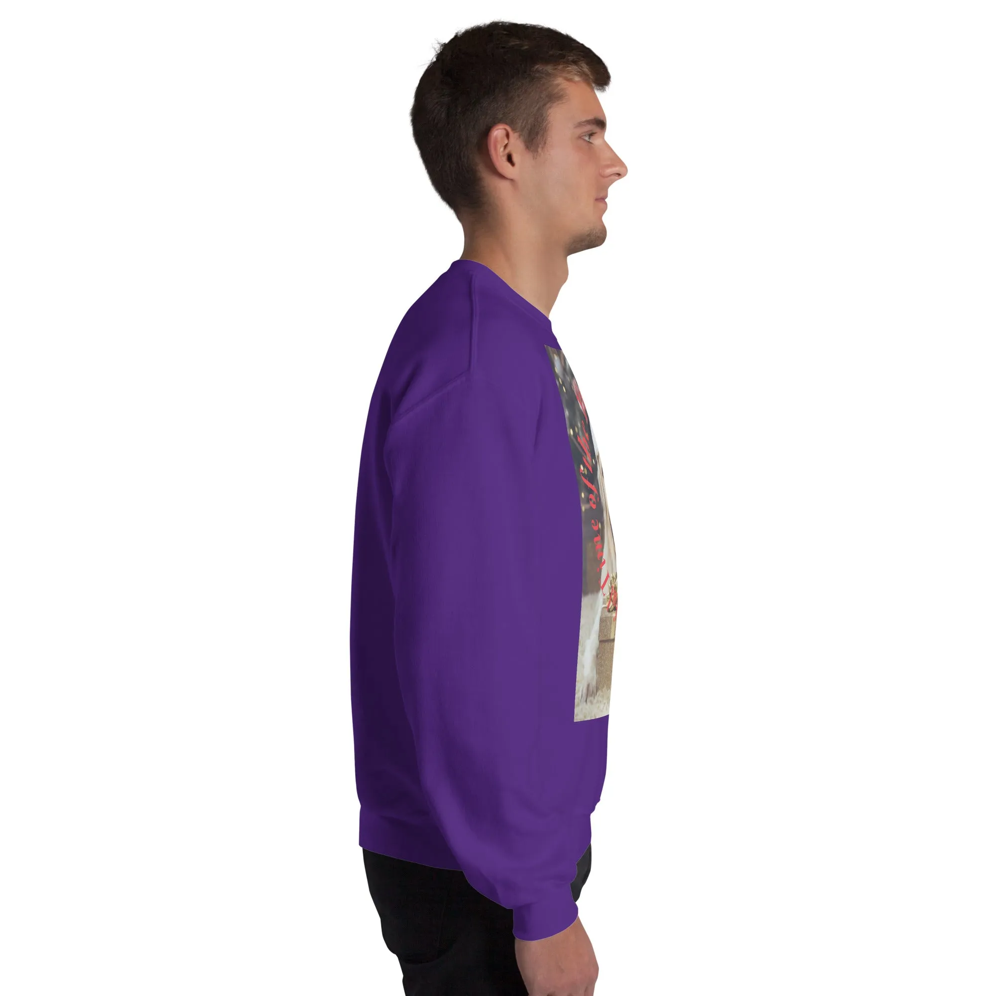 It's The Most Wonderful Time of The Year Christmas Sweatshirt (Glamourange Christmas Sweatshirt Men)