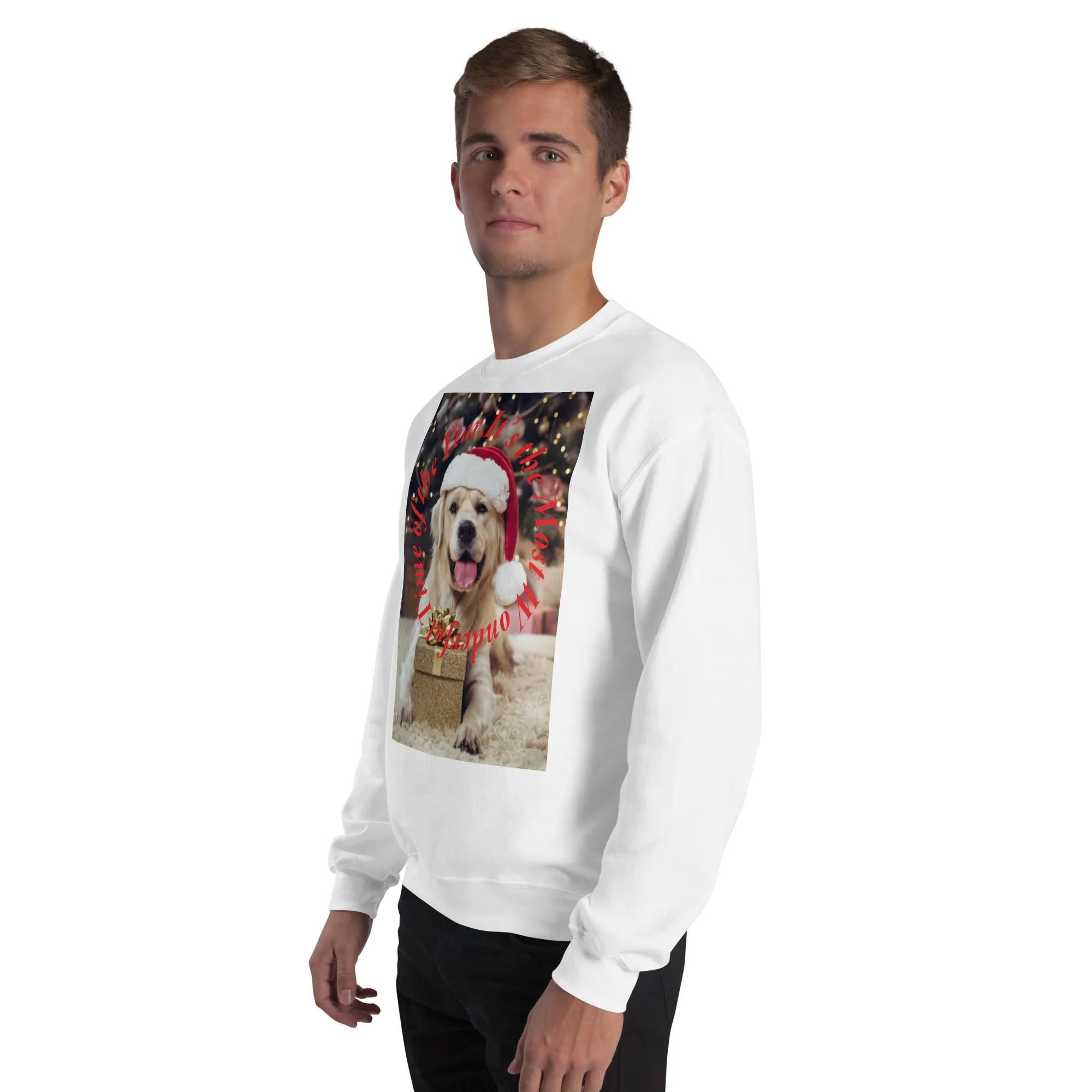 It's The Most Wonderful Time of The Year Christmas Sweatshirt (Glamourange Christmas Sweatshirt Men)
