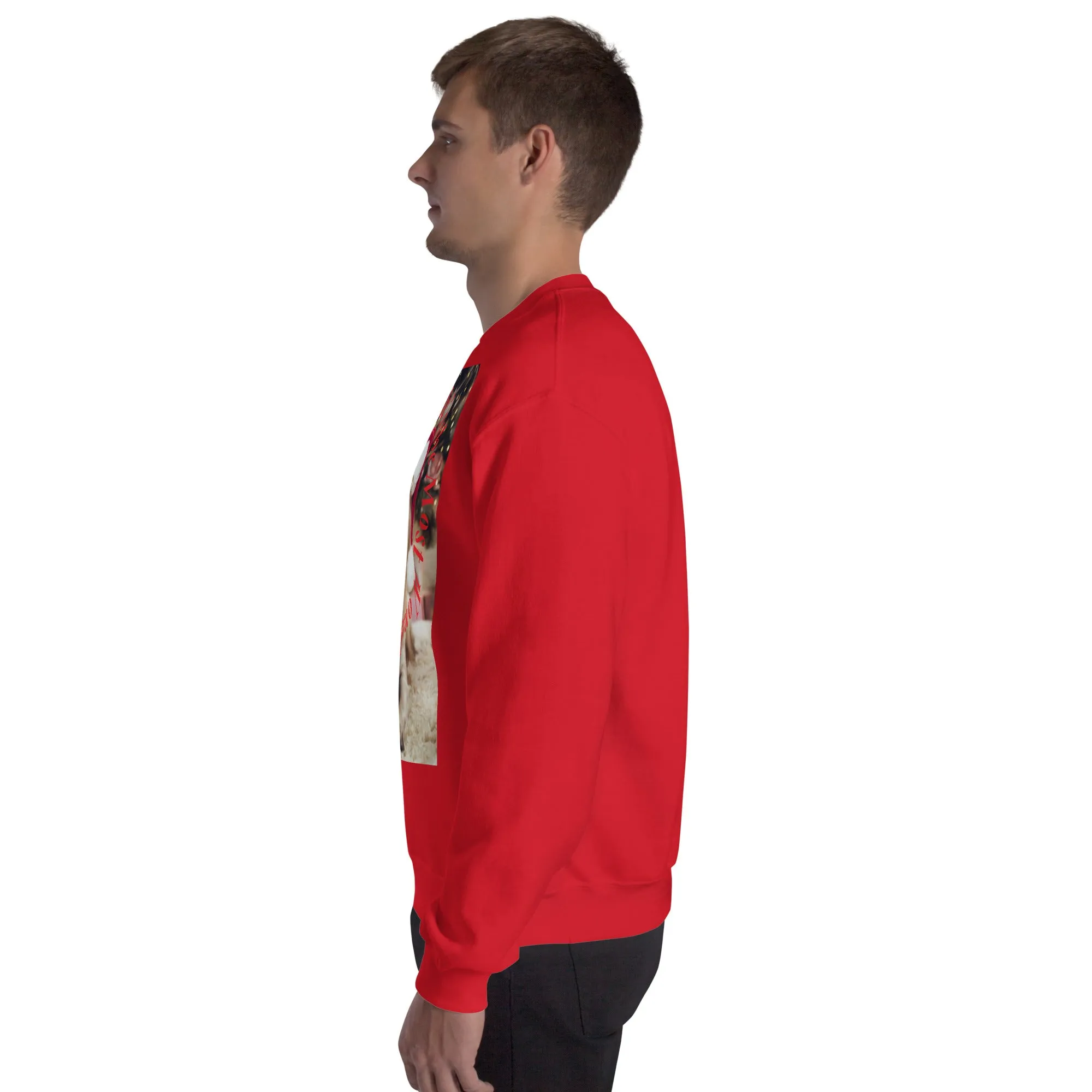 It's The Most Wonderful Time of The Year Christmas Sweatshirt (Glamourange Christmas Sweatshirt Men)
