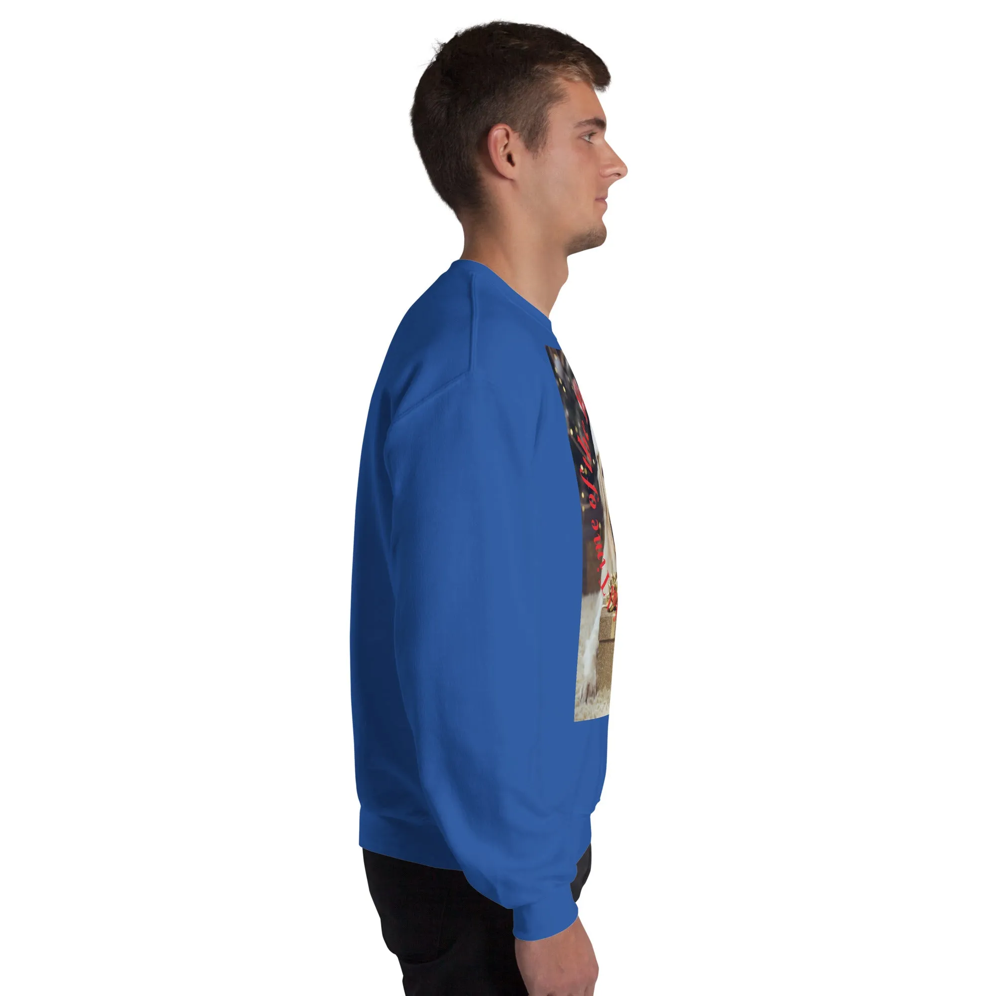 It's The Most Wonderful Time of The Year Christmas Sweatshirt (Glamourange Christmas Sweatshirt Men)