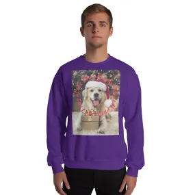 It's The Most Wonderful Time of The Year Christmas Sweatshirt (Glamourange Christmas Sweatshirt Men)