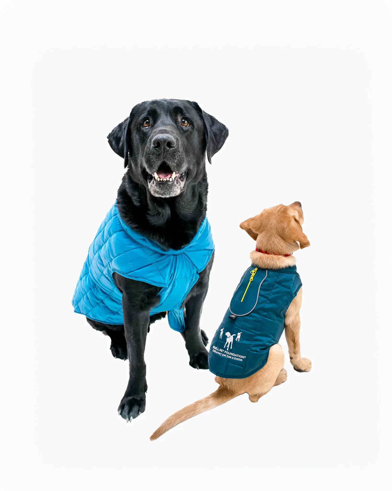 Kurgo Dog Coat