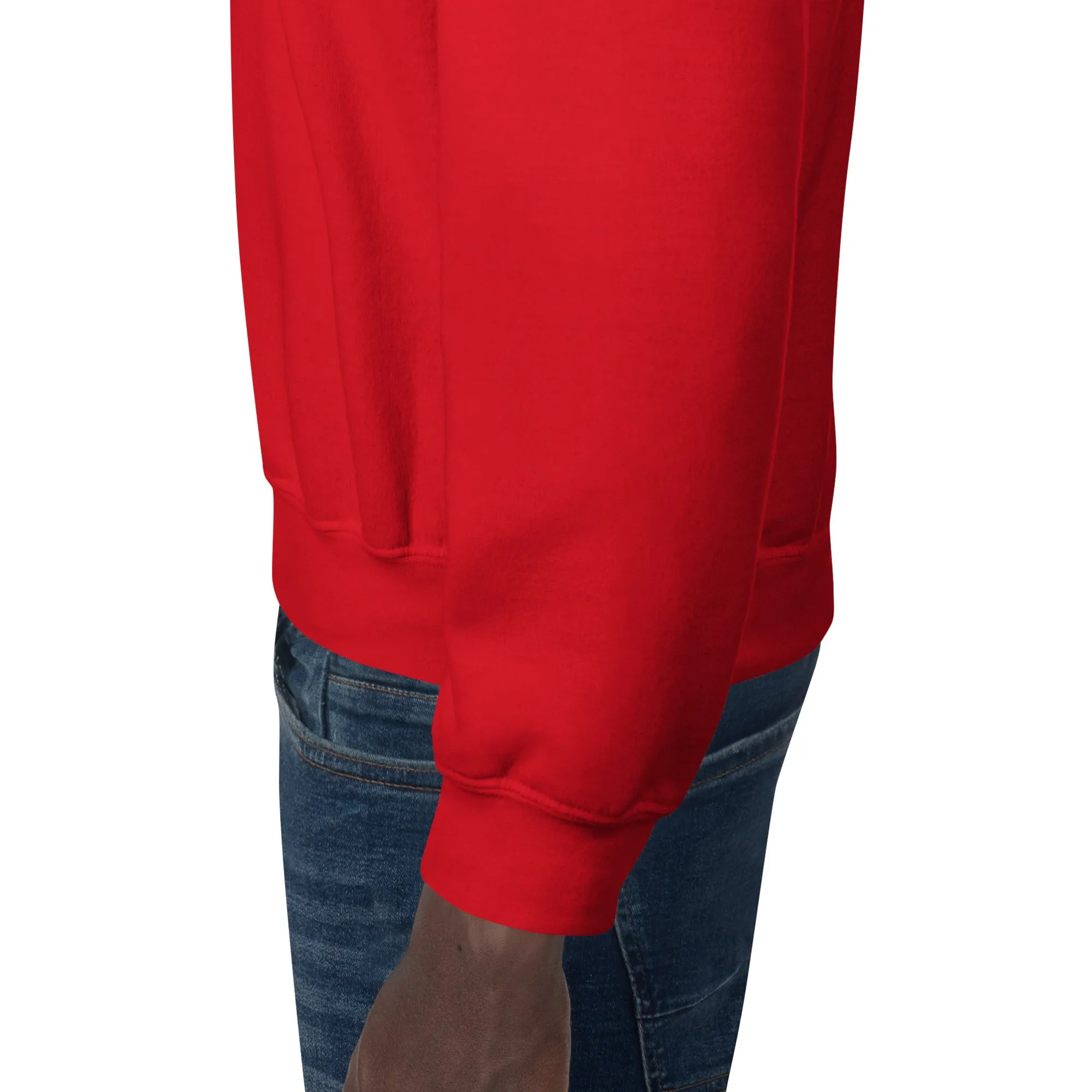 Rudolph Christmas Sweatshirt (Glamourange Christmas Sweatshirt Men)