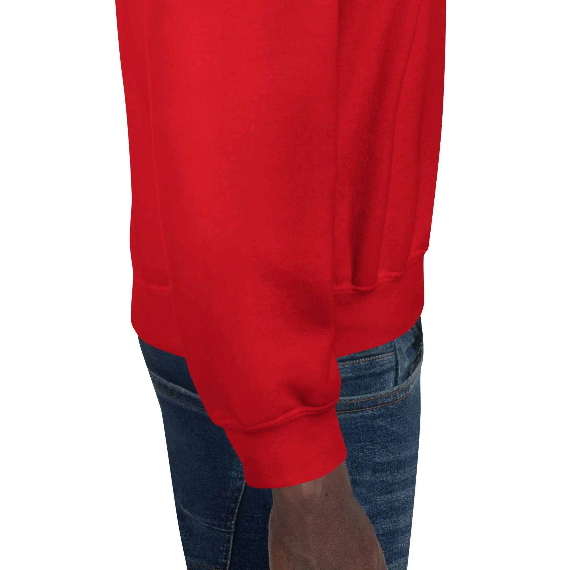 Rudolph Christmas Sweatshirt (Glamourange Christmas Sweatshirt Men)